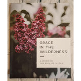 Bible Studies, Assorted Topics