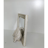 Bird Trio Peeking Mirror