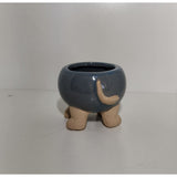 Flower Pot/Planters