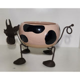 Flower Pot/Planters
