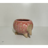 Flower Pot/Planters
