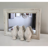 Bird Trio Peeking Mirror