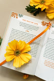 Unfiltered Devotions for Women