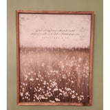 Be Kind And Helpful Flower Field, Ephesians 4:32 Wall Art