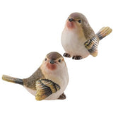 Large Resin Finch, Set of 2