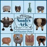 Flower Pot/Planters