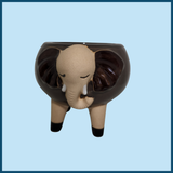 Flower Pot/Planters