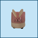Flower Pot/Planters