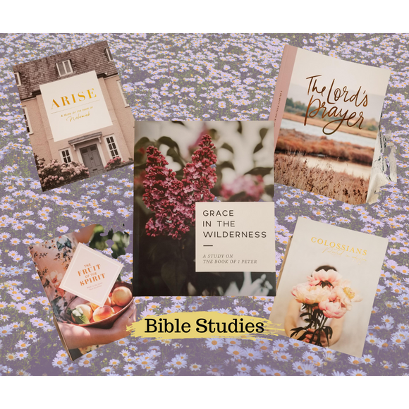 Bible Studies, Assorted Topics